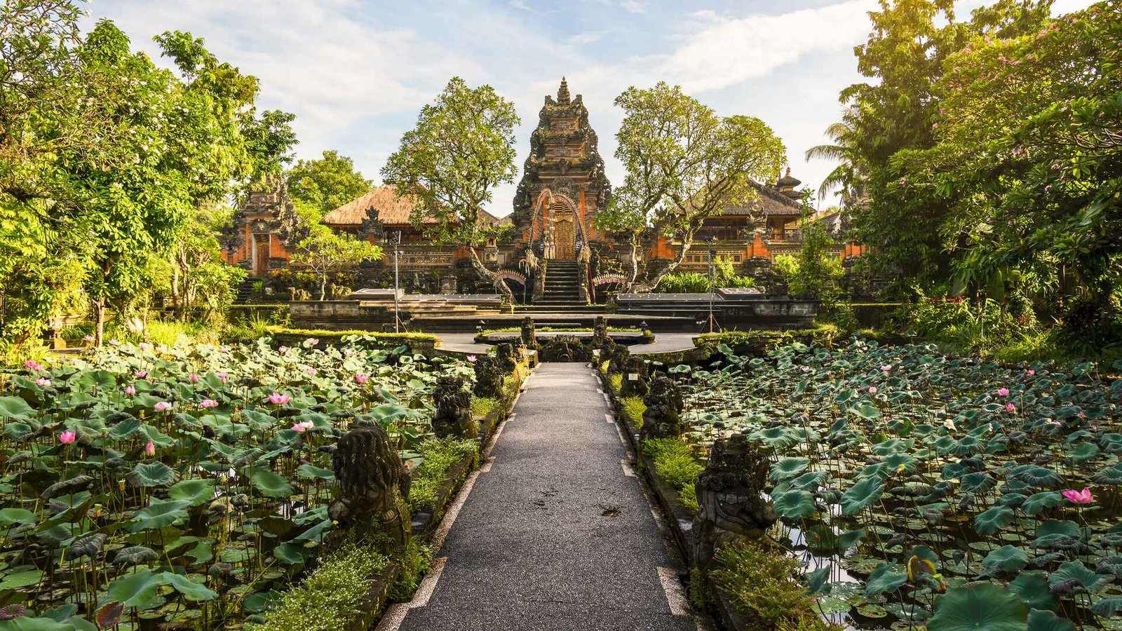 The Enchanting Bali Forest: A Hidden Paradise in Ubud