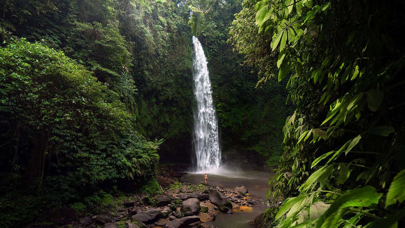 15 Unique Things to Do in Ubud: Explore Bali’s Most Enchanting Secrets