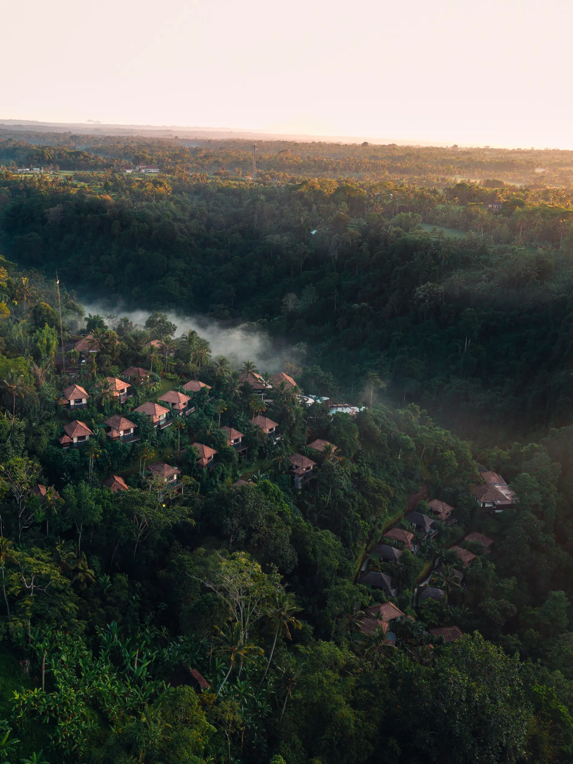 Escaping Winter for Christmas: Christmas in the Tropics