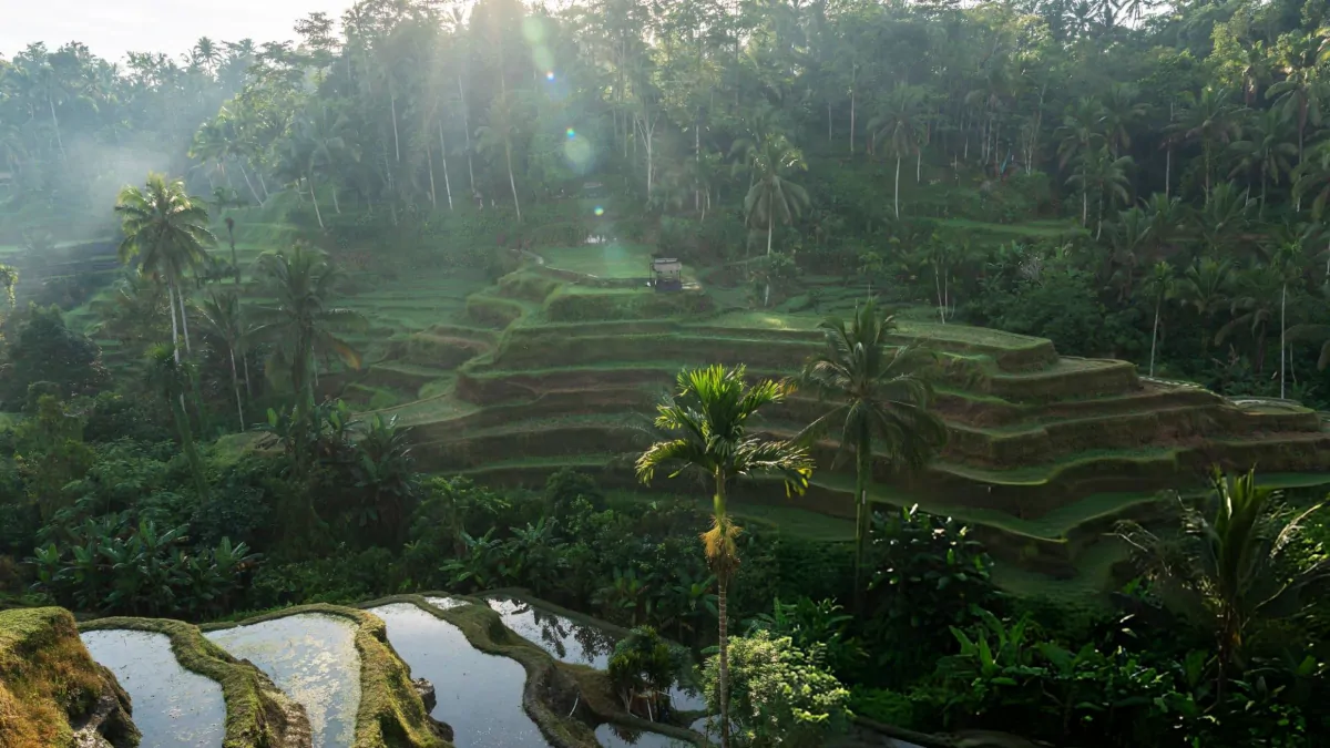 Wellness in Bali Has Changed - This Is What It Looks Like in 2026