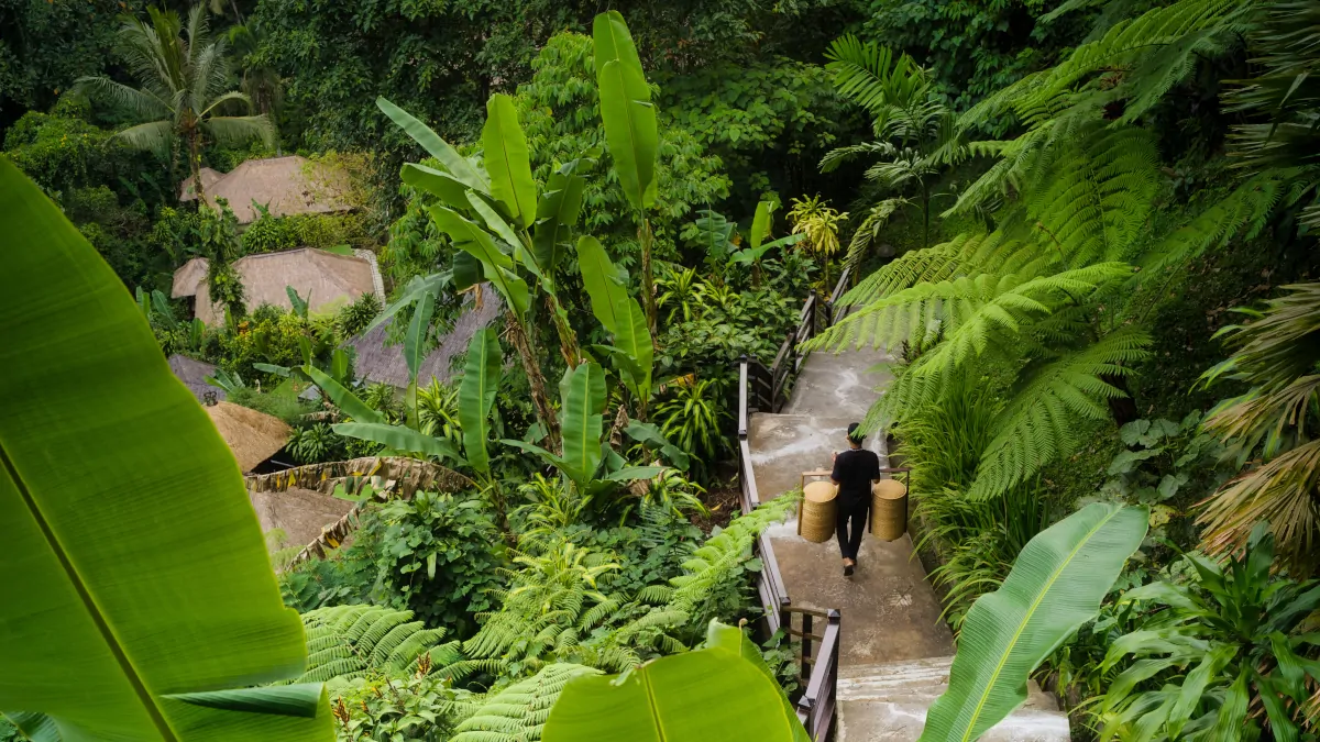 jungle pathway Ubud Bali luxury resort nature walkway rainforest experience