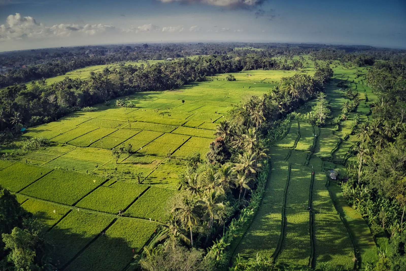 Ubud rainforest valley nature healing Bali wellness travel immersive environment