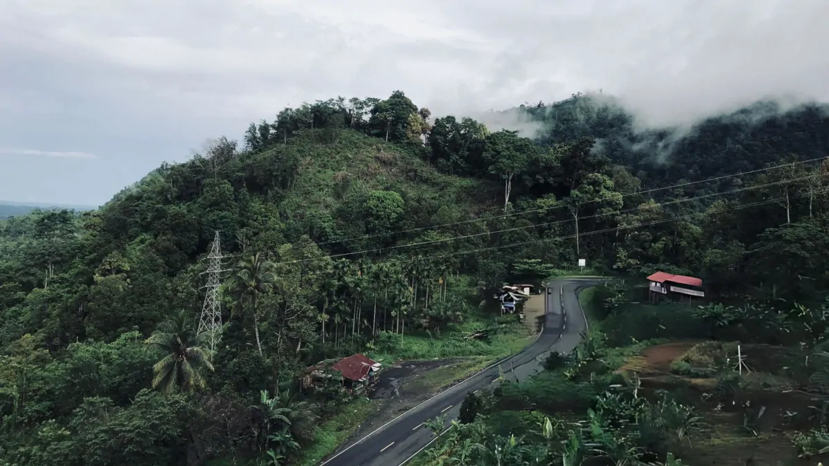 Bali road jungle drive travel time Ubud transport scenic route