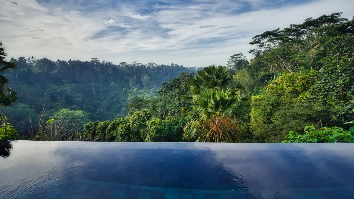 infinity pool jungle Bali seamless landscape luxury environment immersive stay