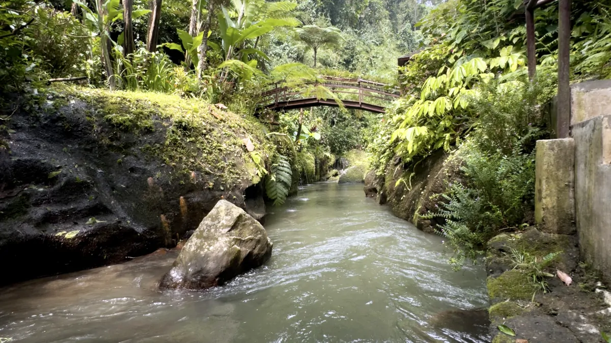 Ubud jungle light mist Bali peaceful time slow immersive atmosphere