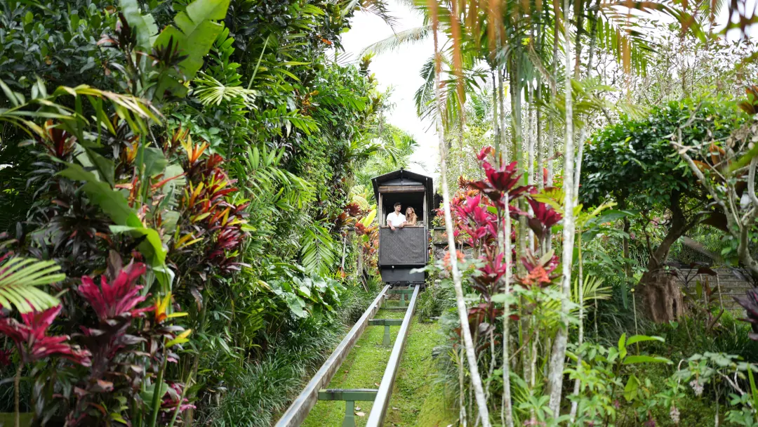 Destination hotel experience luxury travel Bali