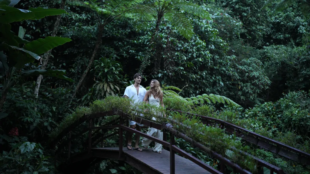 Hidden jungle proposal location Bali romantic rainforest setting