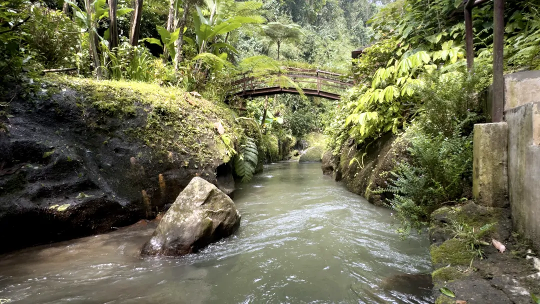 Rainforest river, tropical greenery, and peaceful natural surroundings in Ubud