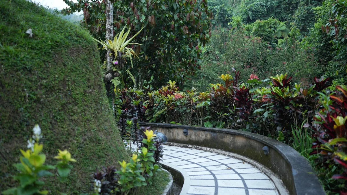 Rainforest walking paths at Hanging Gardens of Bali in Ubud