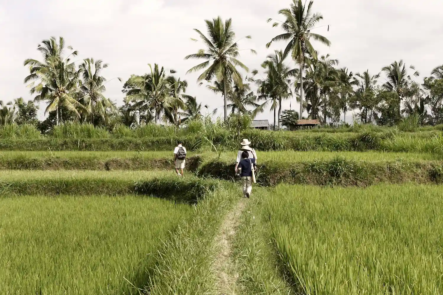 Discover the Secrets of Bali: A Guided Morning Walk Through Nature and Tradition