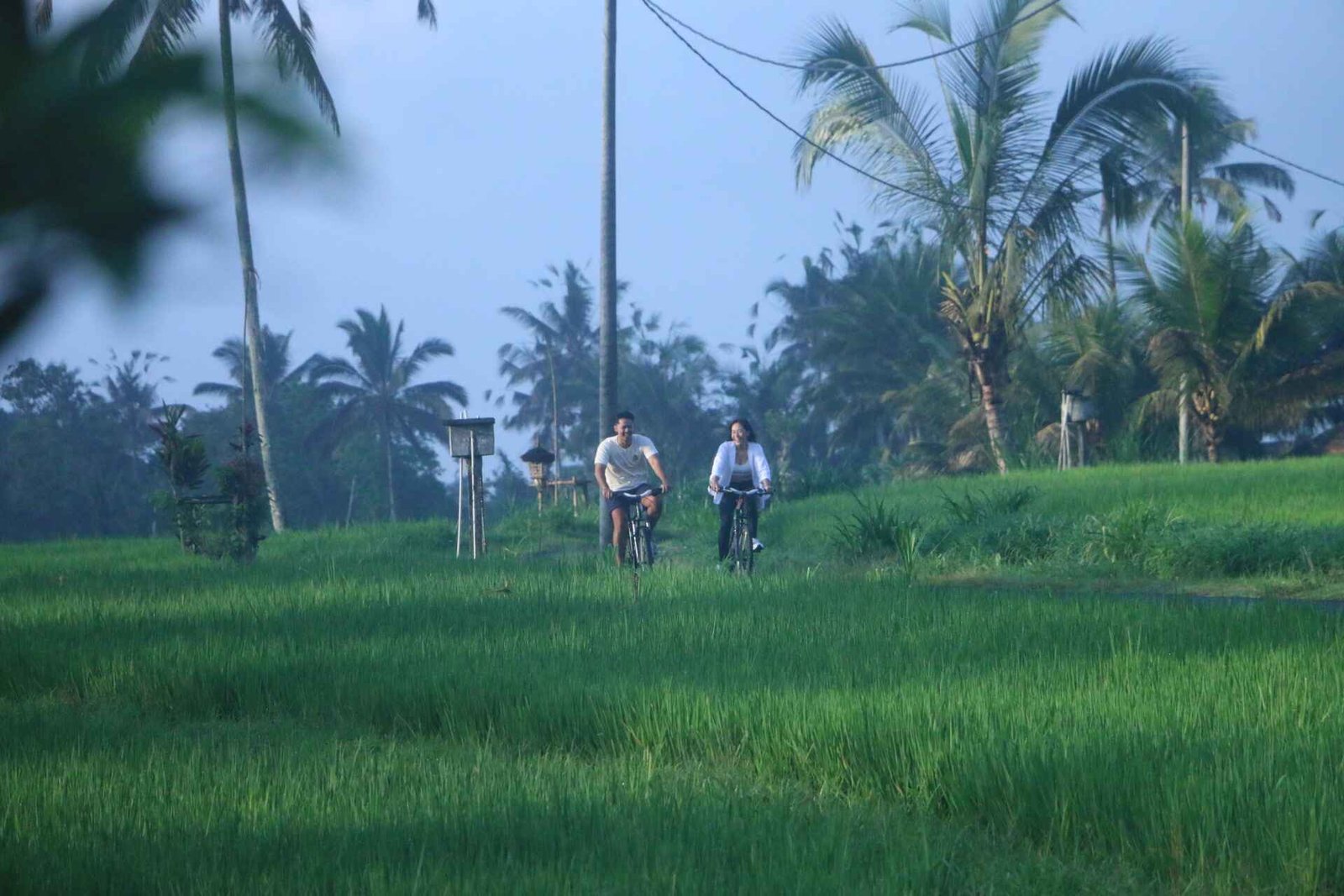 The Morning Cycling / Mountain Bike