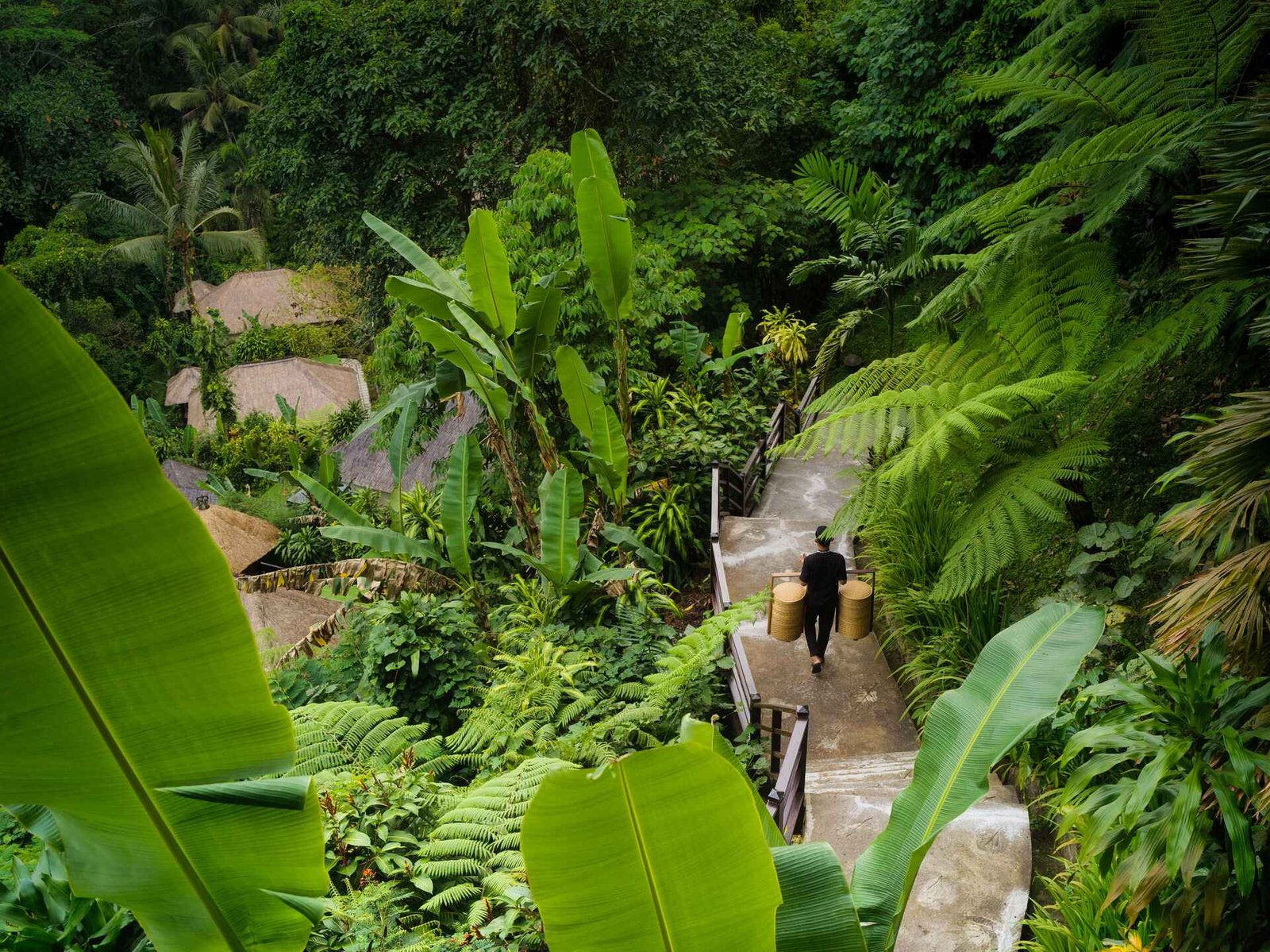 Exclusive VIP Services